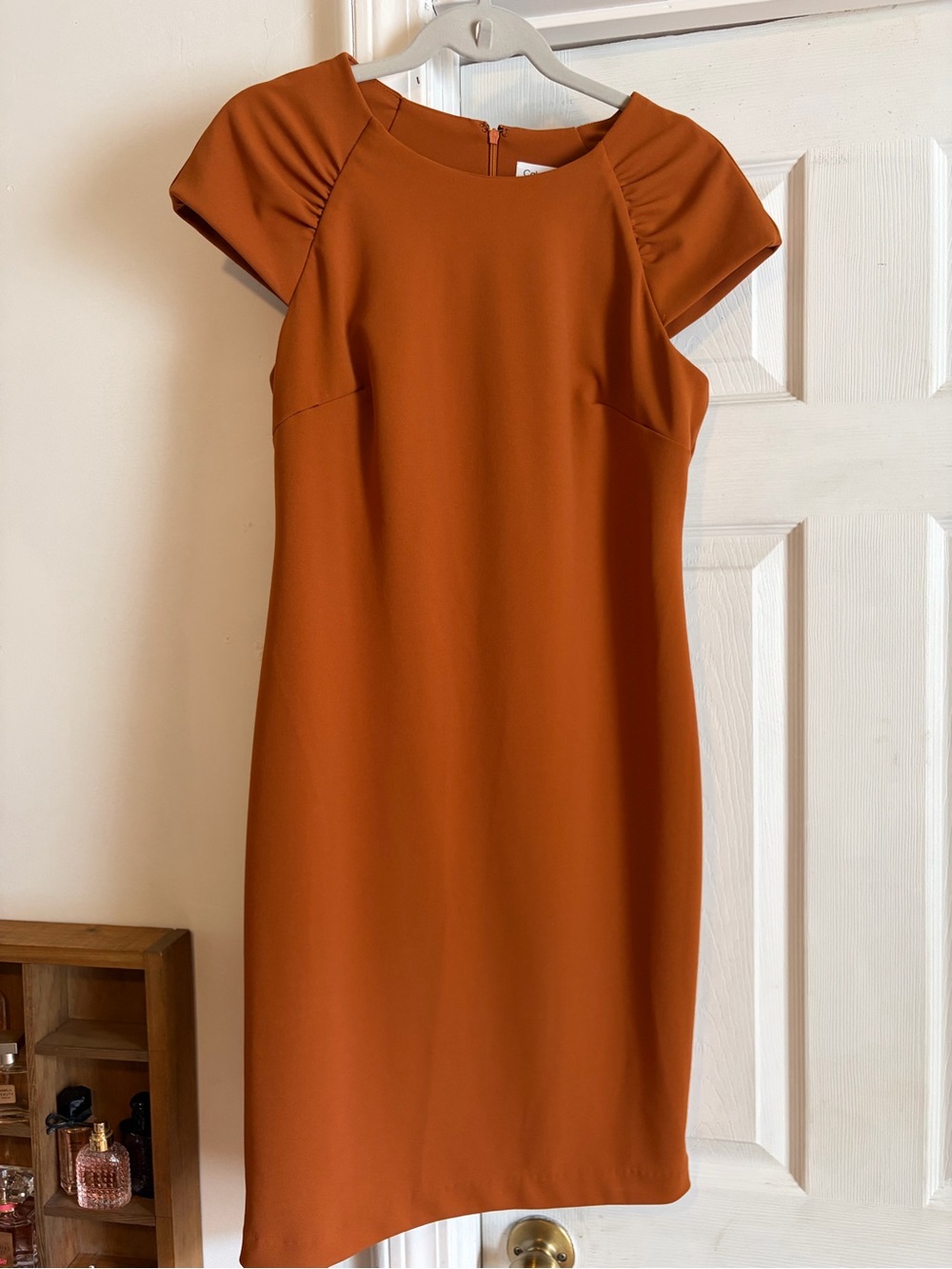 Calvin Klein Burnt Orange Cap-Sleeve Sheath Dress
